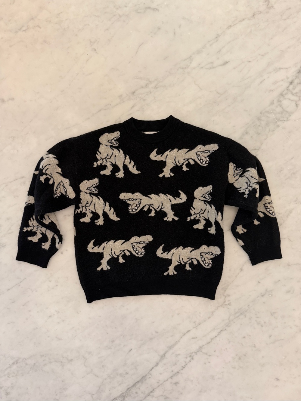 Zara Boy Knit Dinosaur Sweater - T-Rex Sweater - Zara Boy Sweater in Black